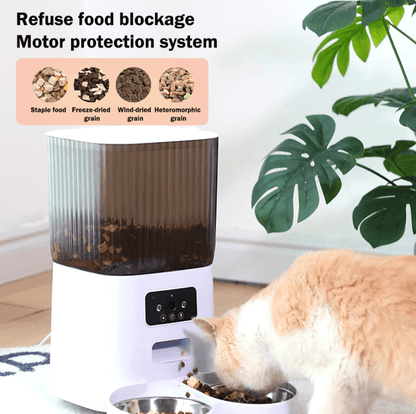 Automatic Pet Feeders with Pet Camera | Tsuki