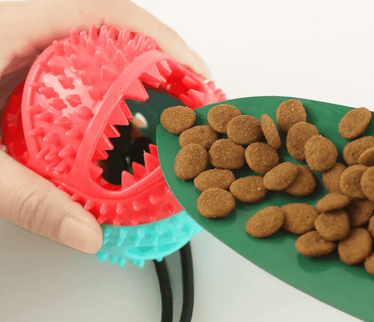 Suction Cup Ropes Interactive Leaking Slow Feeder Pet Toys | Tsuki