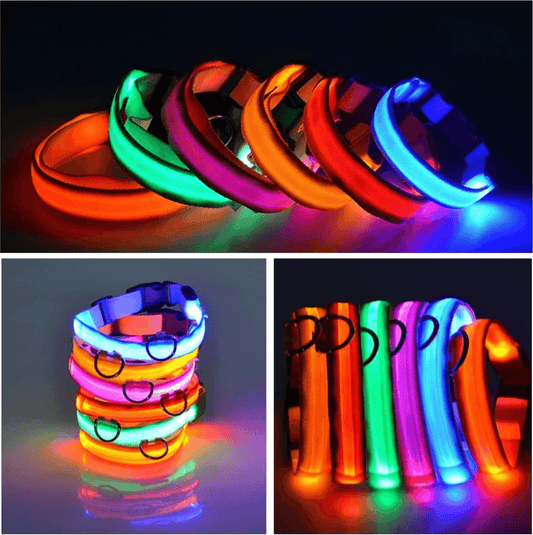 USB Charging LED Dog Safety Night Light Fluorescent Collars | Tsuki