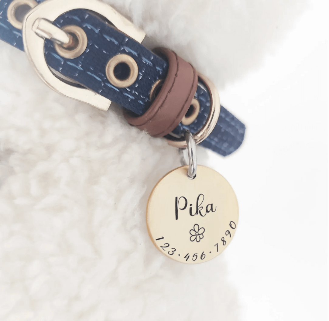 Customized Pet ID Tag Collar | Tsuki