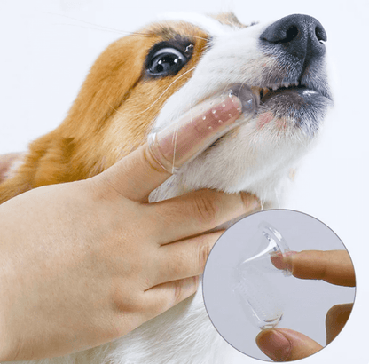 Super Soft Pet Finger Toothbrush | Tsuki