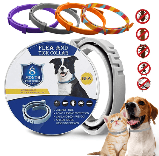 Pet Anti-mosquitoes Silicone Collar 8 Month Protection | Tsuki