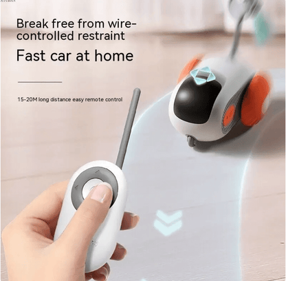 Remote Smart Pet Toys | Tsuki