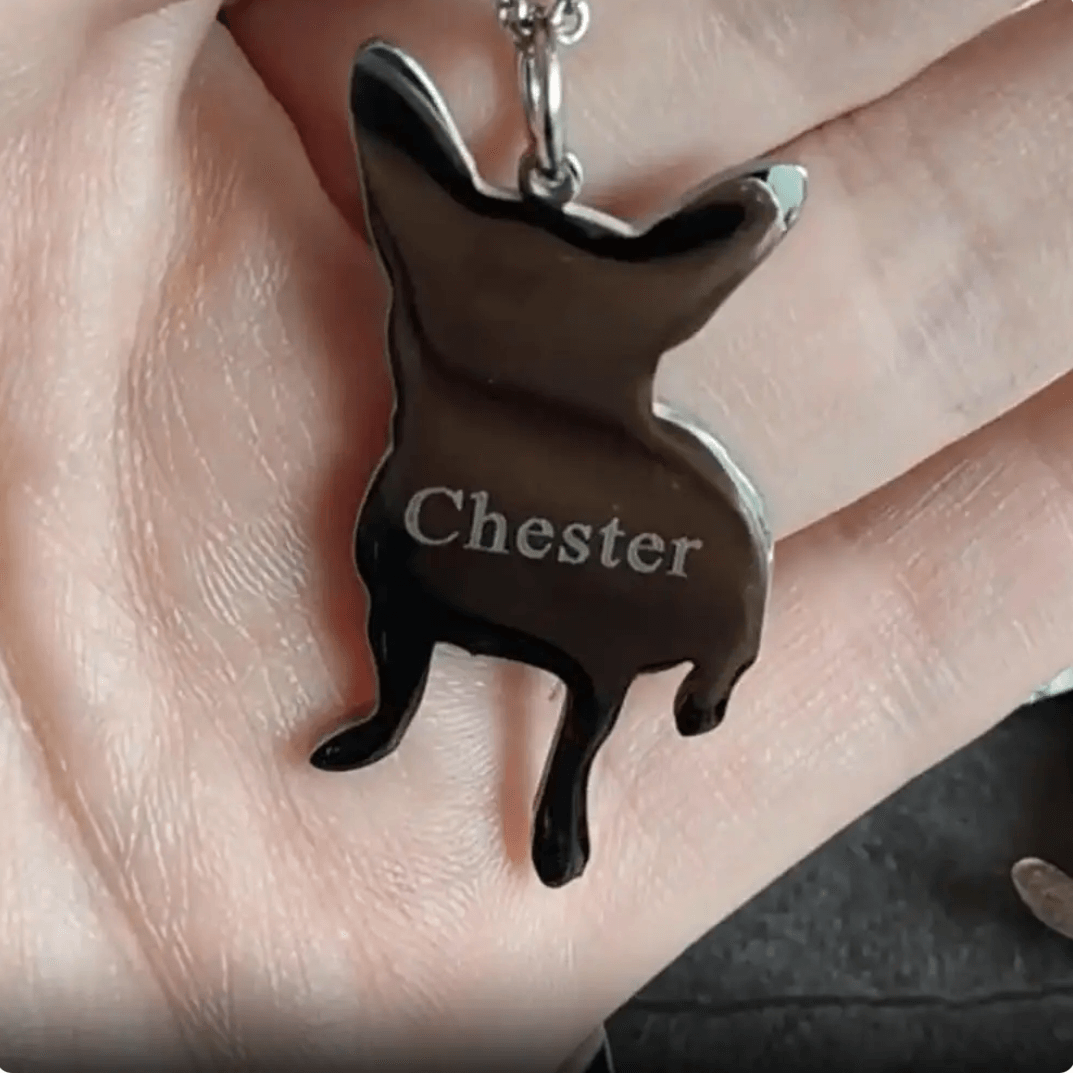 Customized Pet Necklace | Tsuki