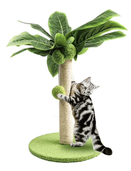 Mini Cat Tree For Kitten | Tsuki